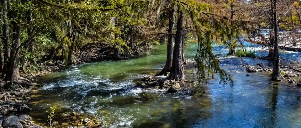 The Guadalupe River running clear over rocks between bald cypress trees near New Braunfels, Texas